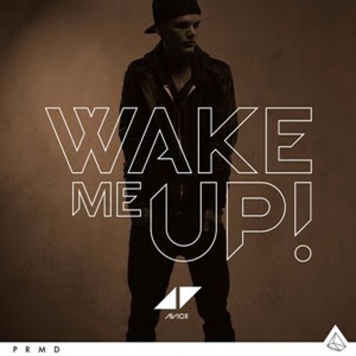 Avicii - Avicii - Wake Me Up (Extended Mix)
